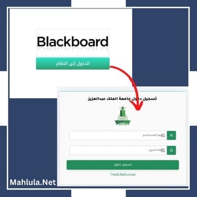 كيفية تسجيل دخول بلاك بورد جامعة عزوز