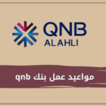 مواعيد عمل بنك qnb
