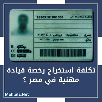 تكلفة استخراج رخصة قيادة مهنية في مصر