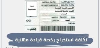 كم تكلفة استخراج رخصة قيادة مهنية 2024 في مصر