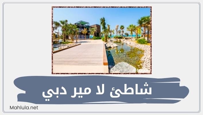 شاطئ لا مير دبي أو لامير بيتش فنادق ومطاعم لامير دبي