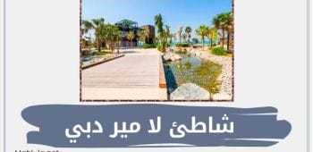 شاطئ لا مير دبي أو لامير بيتش فنادق ومطاعم لامير دبي